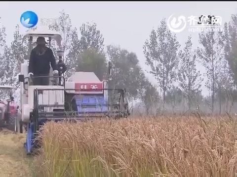 济南市水稻生产推广全程机械化