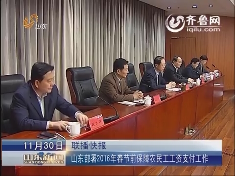收入证明_山东农民收入(2)