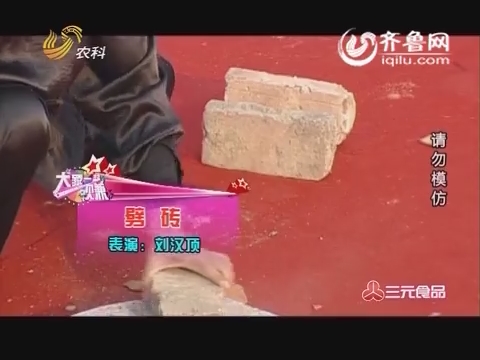大家一起赚：刘汉顶表演空手劈砖 震惊全场