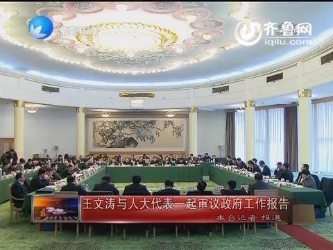 王文涛与人大代表一起审议政府工作报告