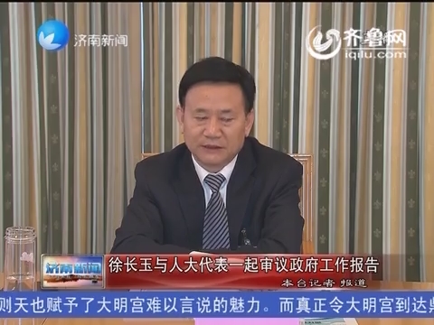 徐长玉与人大代表一起审议政府工作报告