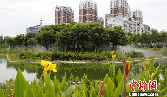 三亞市委書記：決不允許出現“鼓了錢袋、毀了生態”的現象