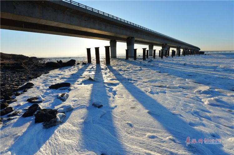 冷空氣襲擊島城 膠州灣驚現10厘米厚海冰(圖)