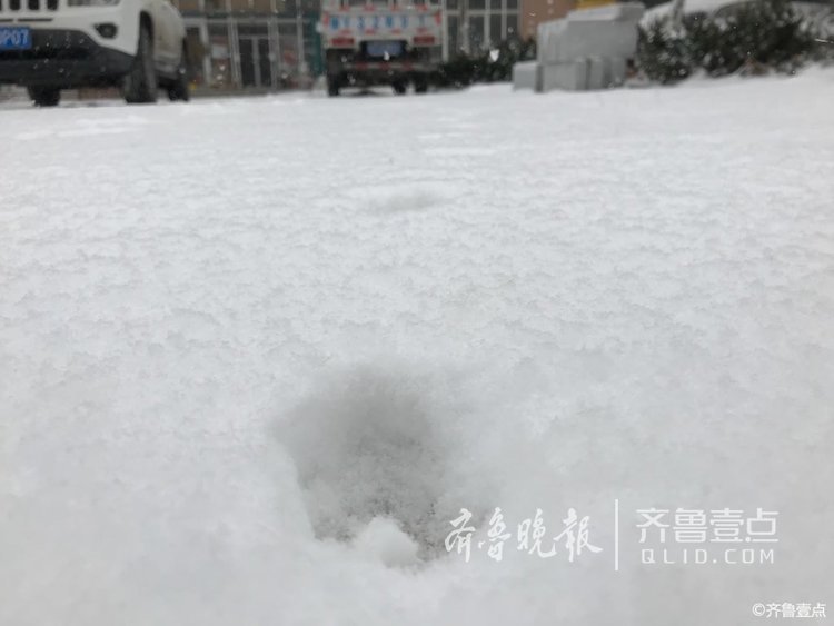 情報站|好生羨慕!鵝毛大雪再度光臨煙臺