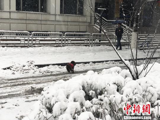 江蘇迎雪后“冰封世界” 暴雪短暫“休整”后將“卷土重來”