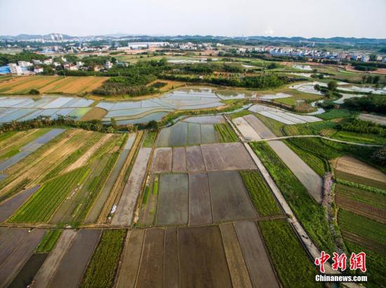 耕地輪作休耕試點(diǎn)如何保證農(nóng)民不吃虧？財(cái)政部回應(yīng)