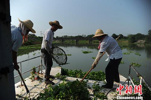 第二批中央環境保護督察七省市共問責1048人