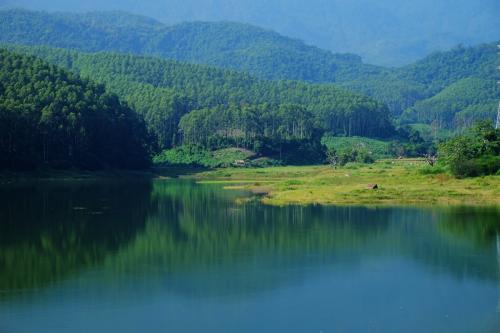 3月山東平均降水量27毫米，四大湖蓄水多11億立方