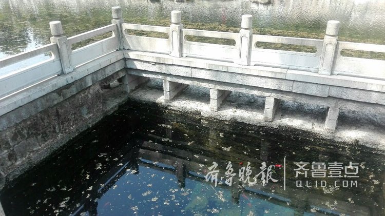 瑪瑙泉成一潭死水，水面落葉靠人工打撈