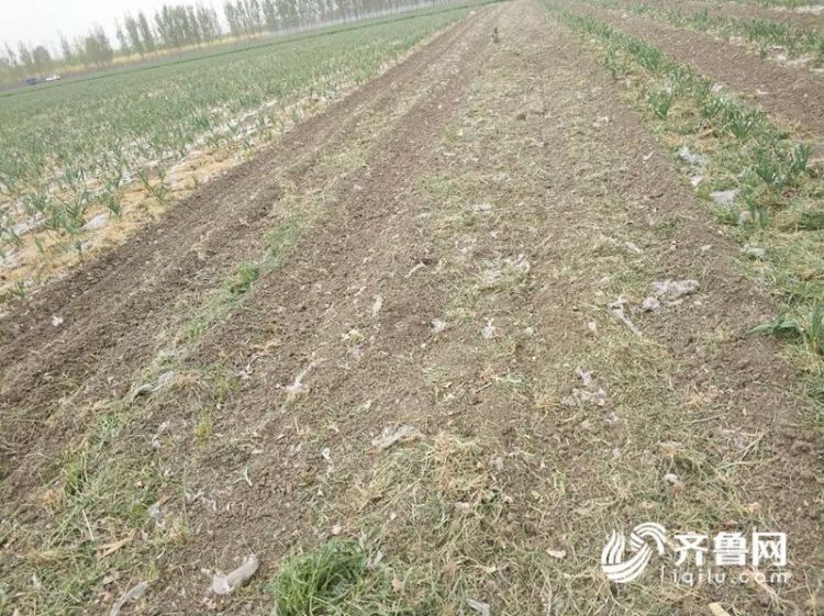 微信图片_20180412095035.jpg