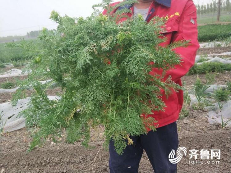 微信图片_20180412095025.jpg