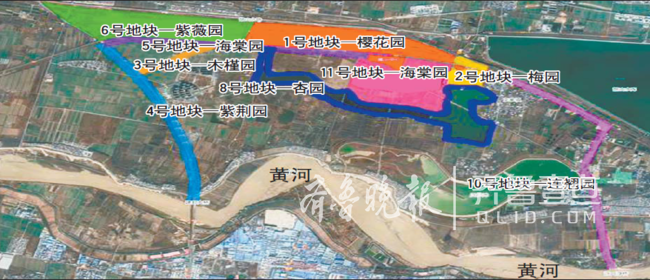 22天栽植1750畝櫻桃 濟南黃河北花海建設提速