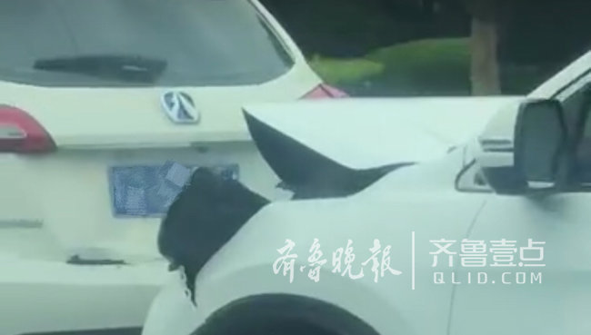 搶道行駛起摩擦，膠州路怒男一言不合撞前車