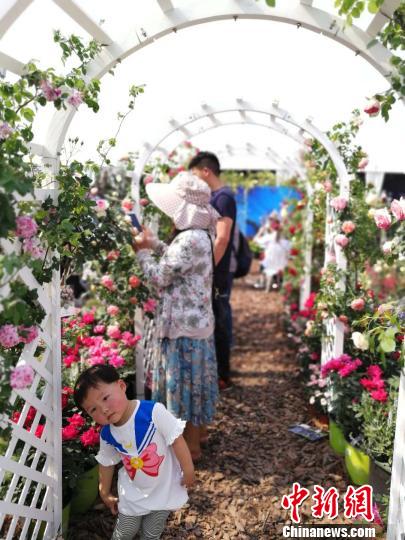 全球花卉力量齊聚 “2018世界花園大會”浙江海寧迎發(fā)展新機