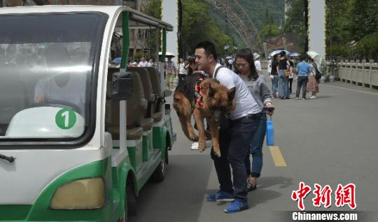 汶川特大地震功勛搜救犬“沈虎”與訓導員重回北川