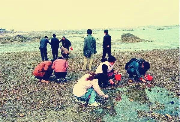 九大趕海圣地盤點 老青島們都搶著去！附潮汐時刻表