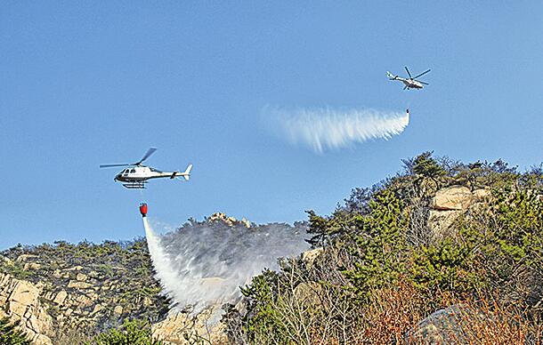 嚴防森林火災 山東省航空護林站4個月累計巡護272小時、2.7萬公里