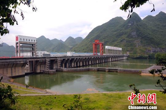 广西乐滩水电站为保西江上游生态平衡 十五年投放200万尾鱼苗