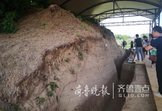 大齊風韻!齊國故城國家考古遺址公園一處園區開園啦