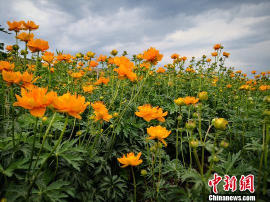 河北承德首屆“天原藥業金蓮花杯”全國攝影大賽啟動