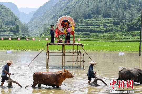 湘西花垣舉辦農(nóng)耕運(yùn)動(dòng)會(huì) 眾人田間競(jìng)技