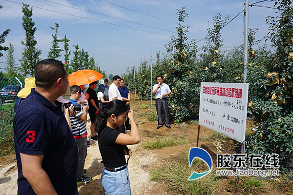 萊州大自然園藝：小種苗帶動大產業