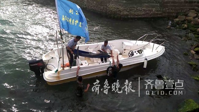 煙臺一海豚擱淺劉公島亂石堆，被摩托艇載至深海放生