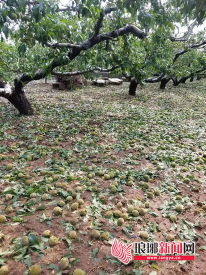 大雨狂風冰雹