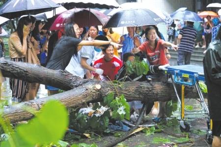 成都狂風暴雨樹倒砸中路人 女學生赤腳抬樹救人