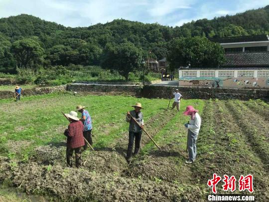 浙江舟山新建社區因“路”煥生機 年吸引35萬游客