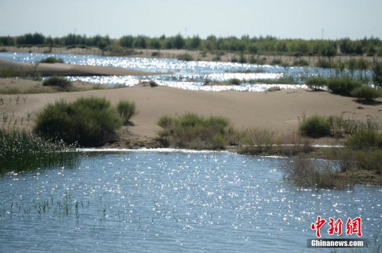 中國第七大沙漠治理：引黃河凌水“沙漠變綠洲”