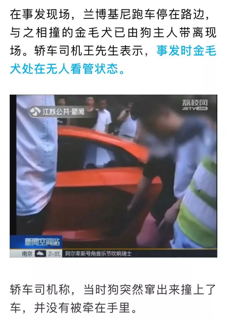 金毛犬撞上800萬元蘭博基尼,狗沒事,車壞了!