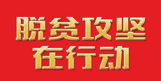 【脫貧攻堅在行動】麻江縣農文旅園區建設激活脫貧攻堅新效能