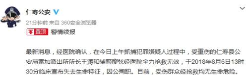 殺人嫌犯派出所內持刀砍人被擊斃 所長輔警殉職