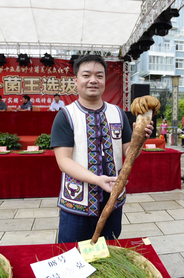 云南南華：野生菌美食節 一場感官盛宴