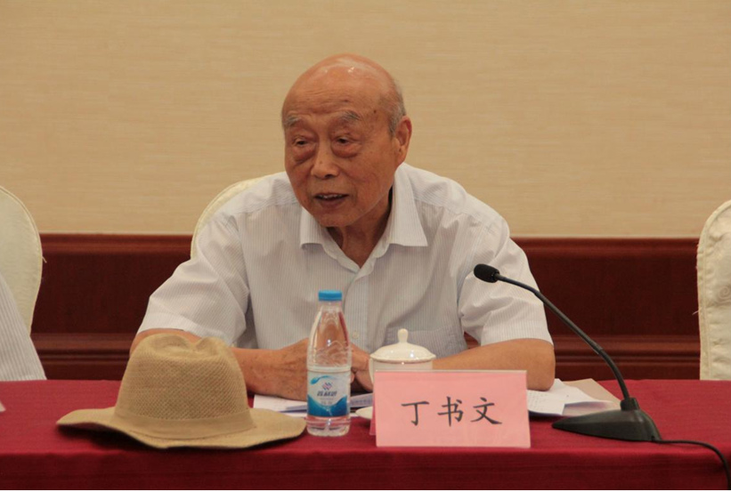 丁书文教授发言