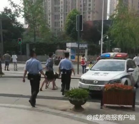 13歲少年遭德牧多處咬傷 涉事狗系禁養犬:無證未拴繩