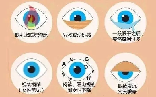2.webp