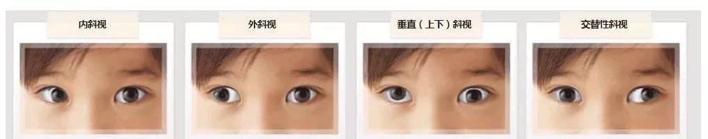 2.webp