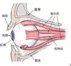 3.webp