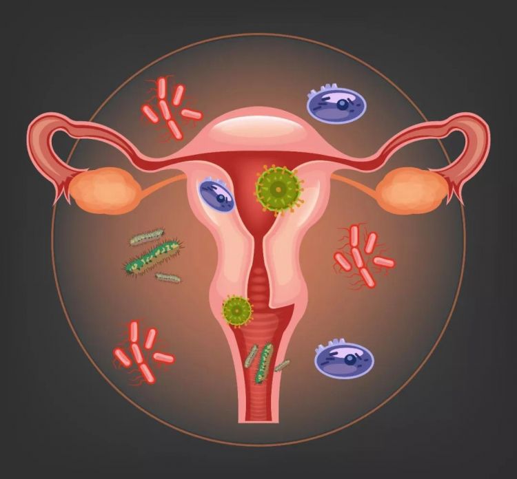 體檢結果 hpv 高危陽性 = 宮頸癌?