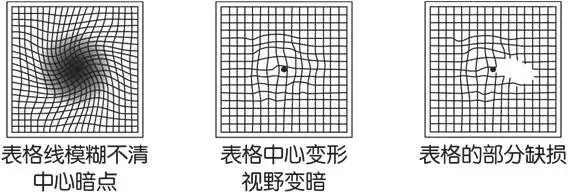2.webp