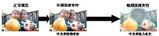 3.webp