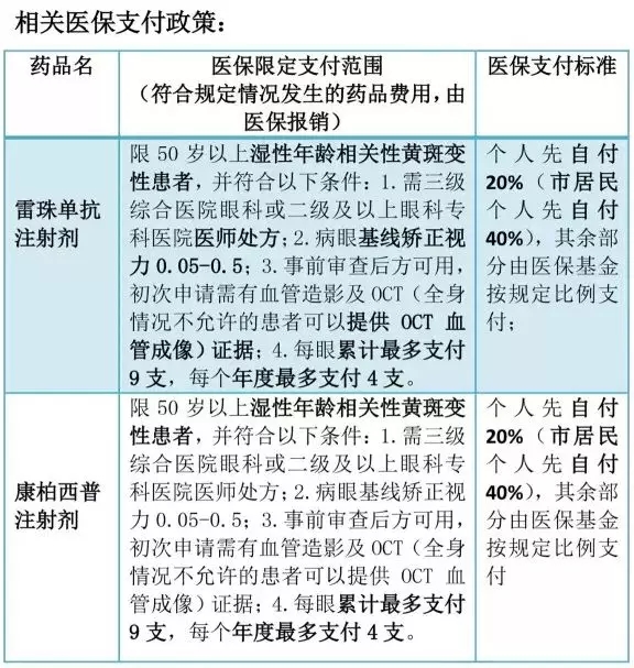 5.webp