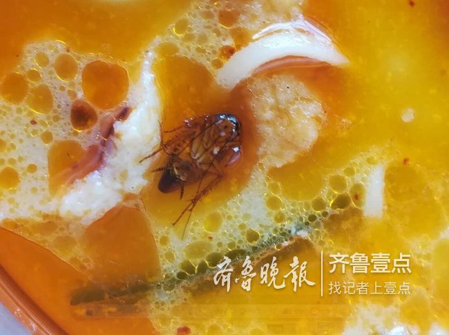 广东蟑螂汤图片