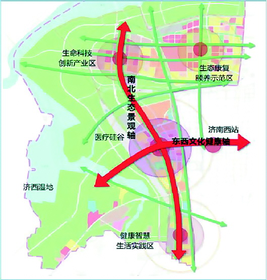 山東第一醫科大學或明年招生，醫療護理藥學等為重點