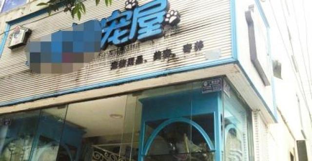 國慶長假寵物寄養一“窩”難求 寵物店不愛接“兔子單”