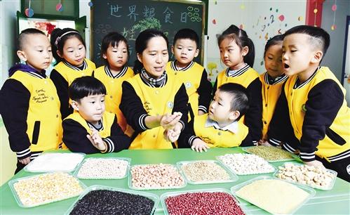 構建更高質量的糧食安全保障體系 端好飯碗