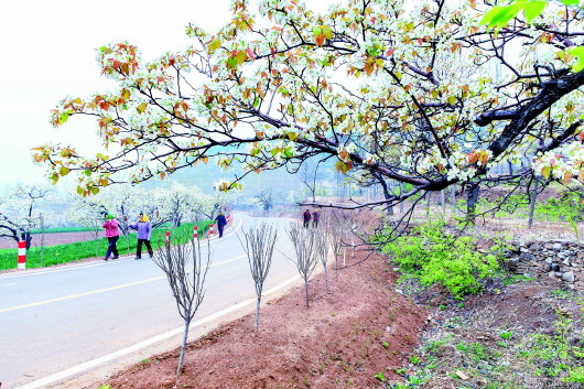 山東“四好農村路”:一條環湖路“盤活”二十五個村