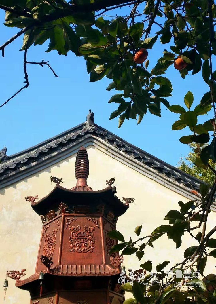 藥山公園的秋，金黃色與綠色相交織